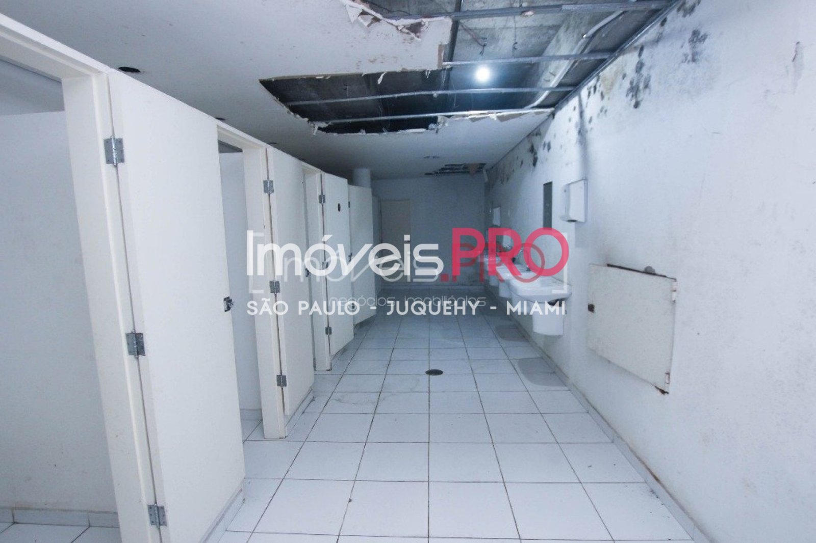 Foto :: IP1014