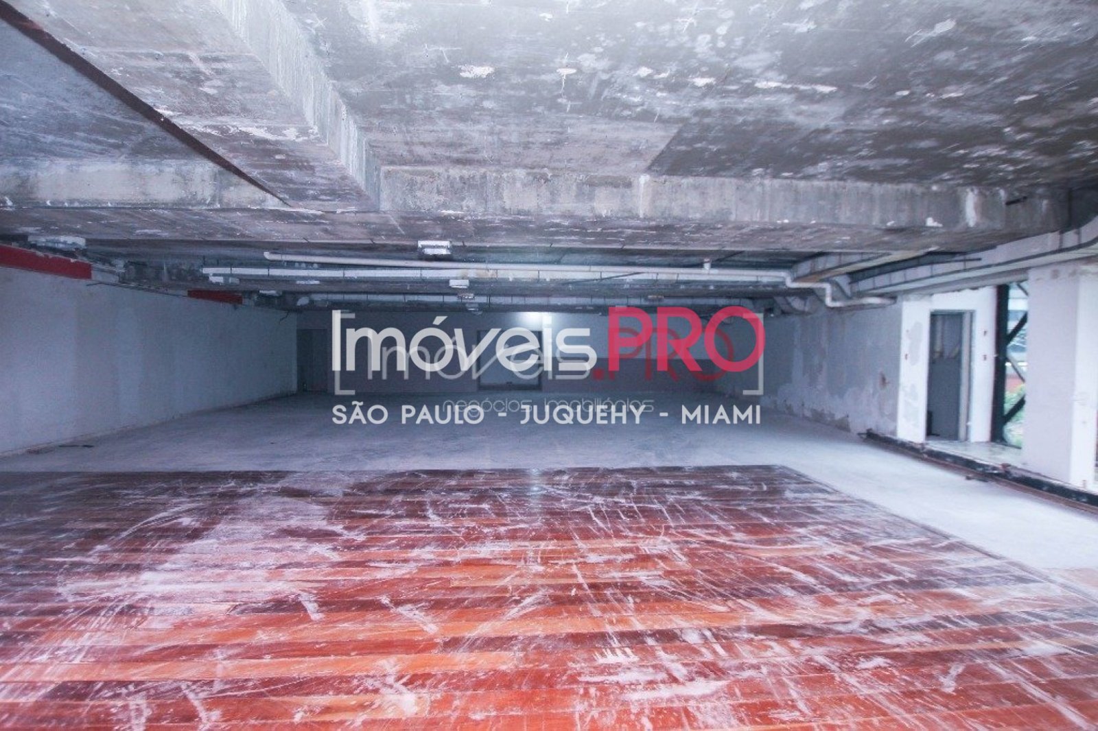 Foto :: IP1014