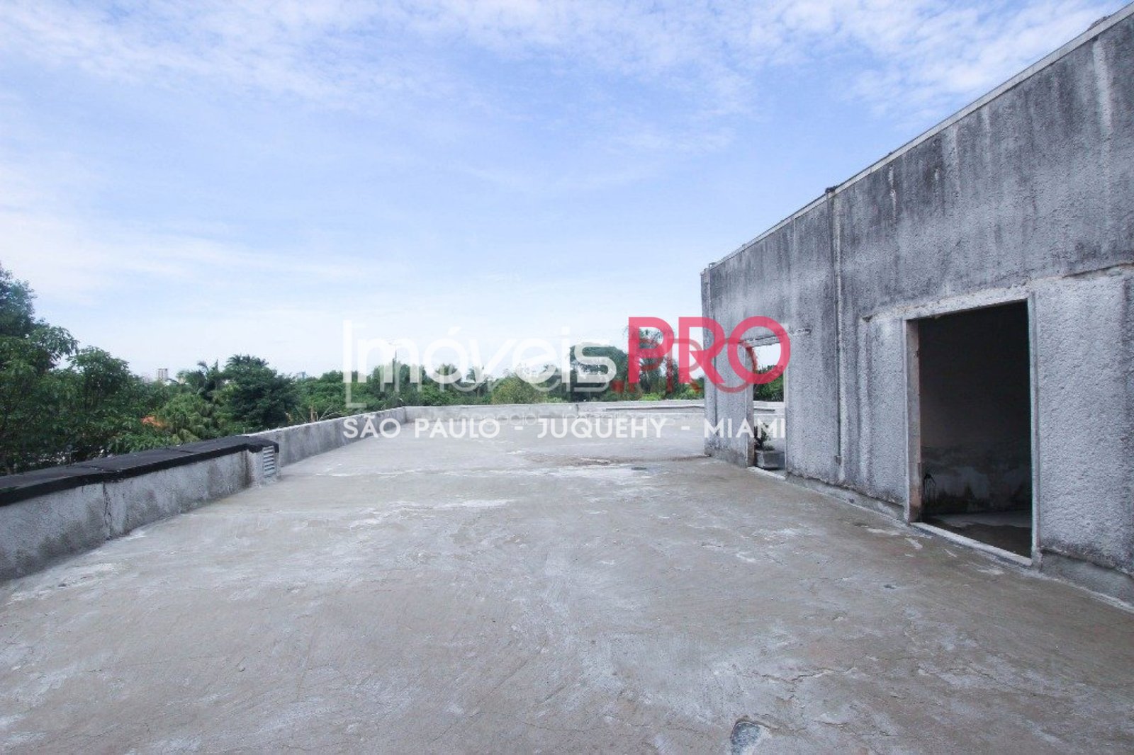 Foto :: IP1014