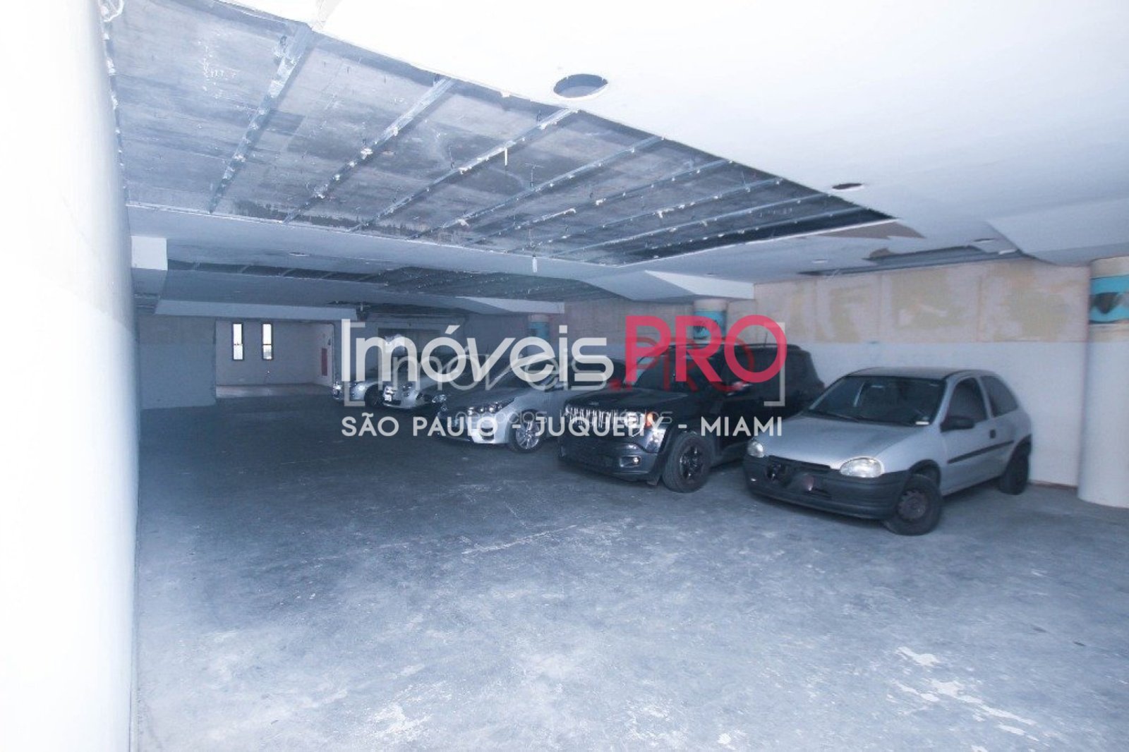 Foto :: IP1014