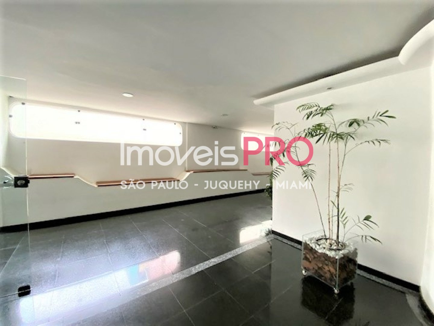 Foto :: IP10815