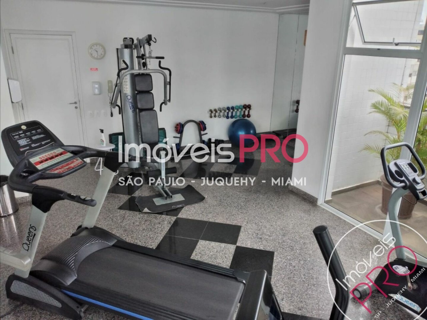 Foto :: IP11261