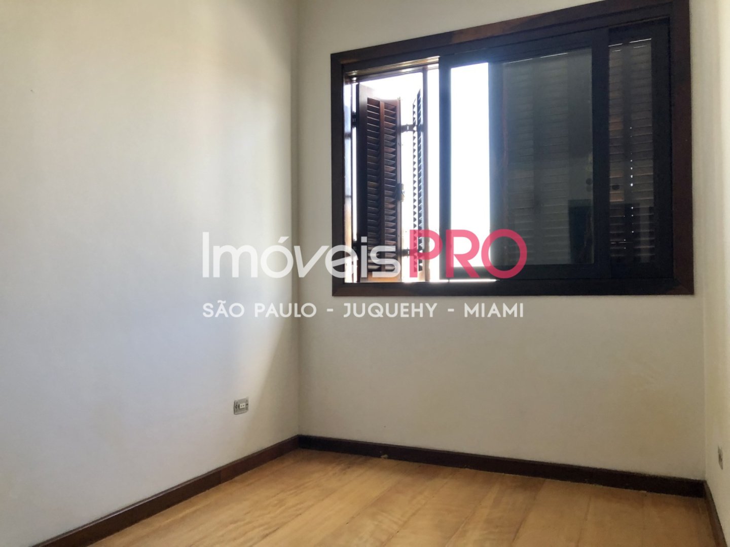 Foto :: IP11444