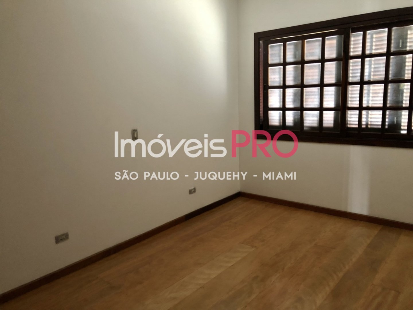 Foto :: IP11444