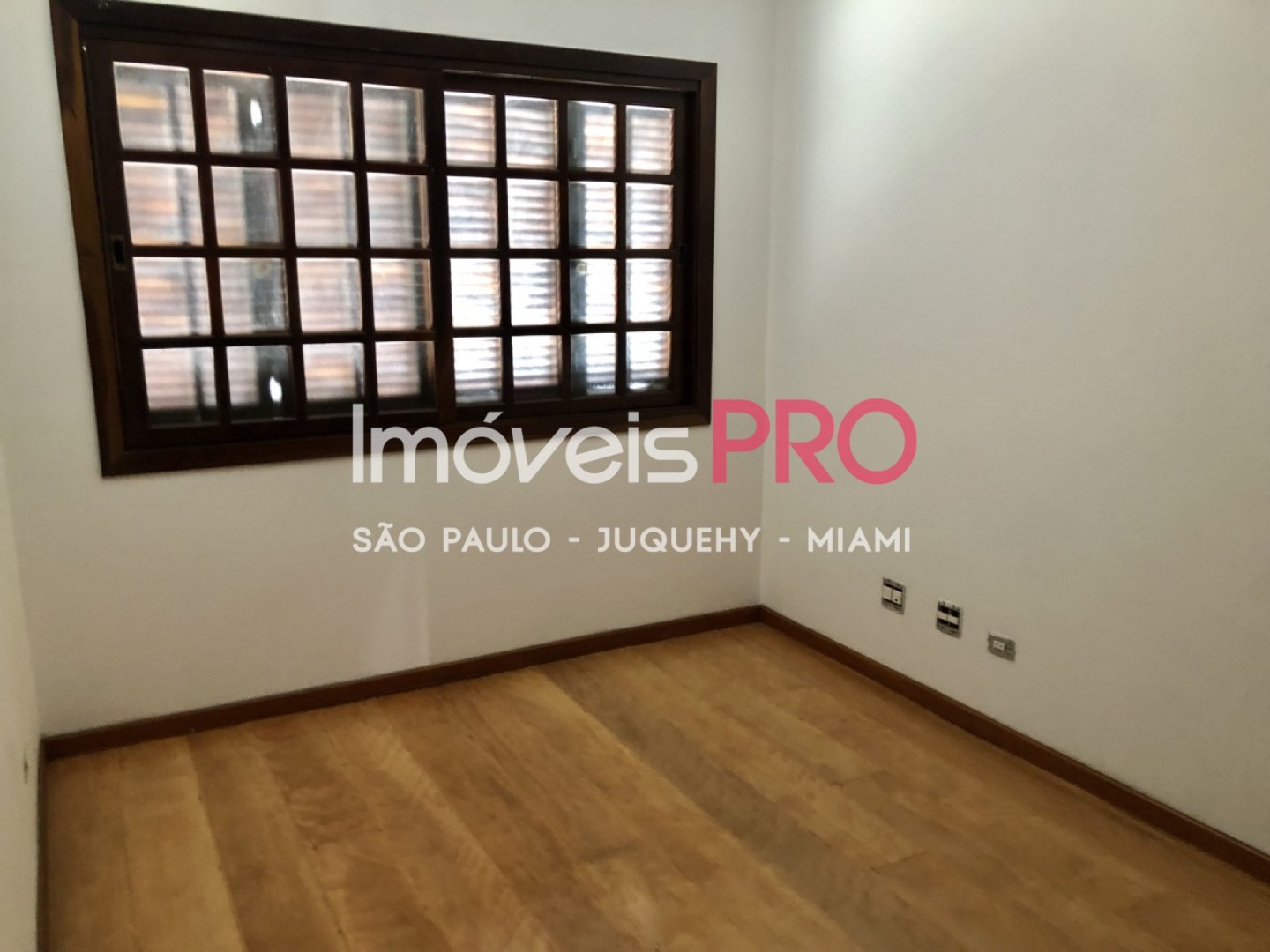 Foto :: IP11444