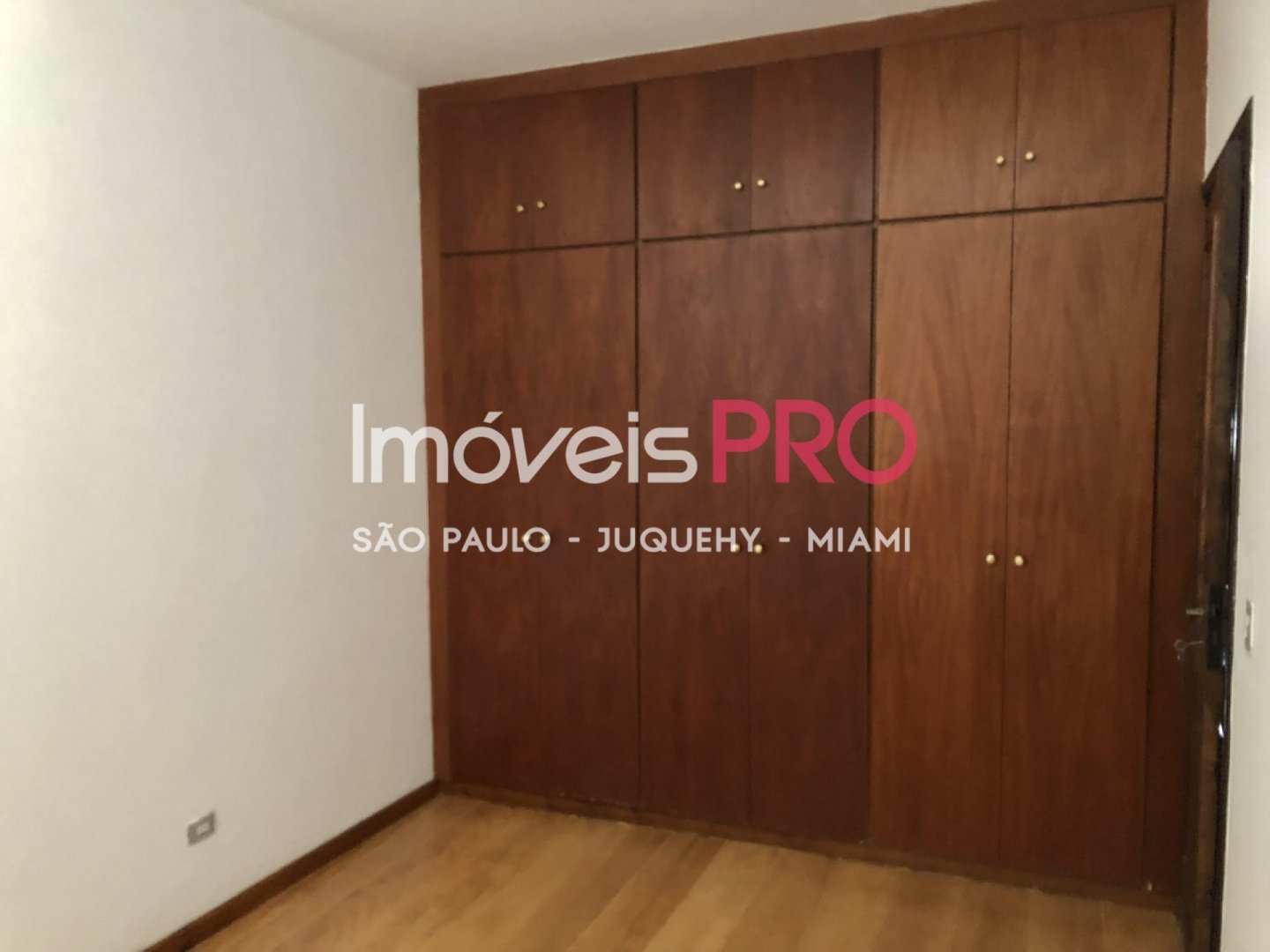 Foto :: IP11444