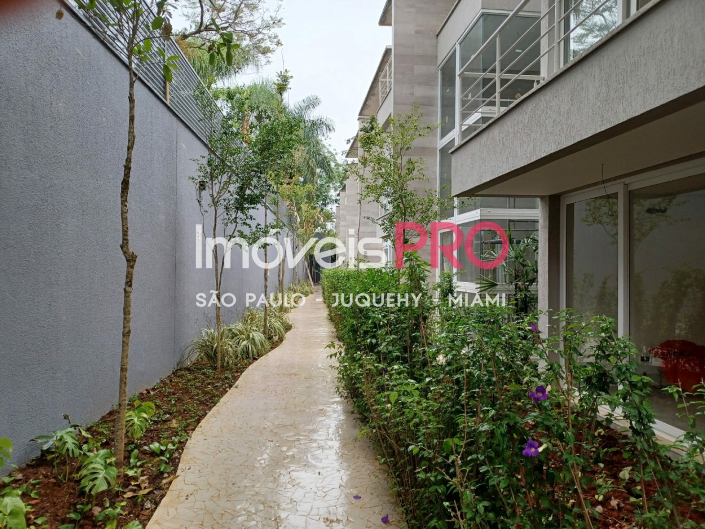 Foto :: IP12898