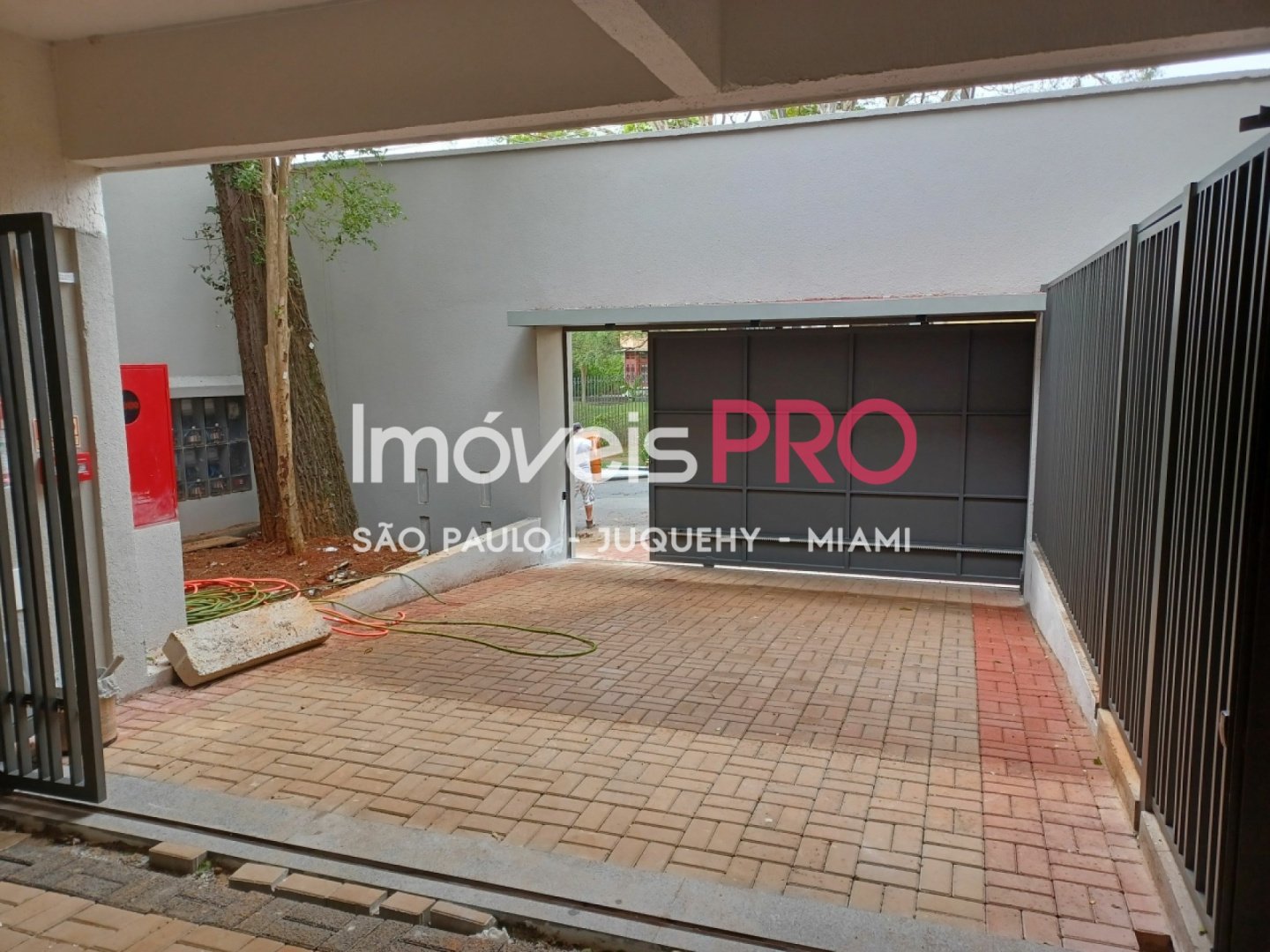 Foto :: IP12903