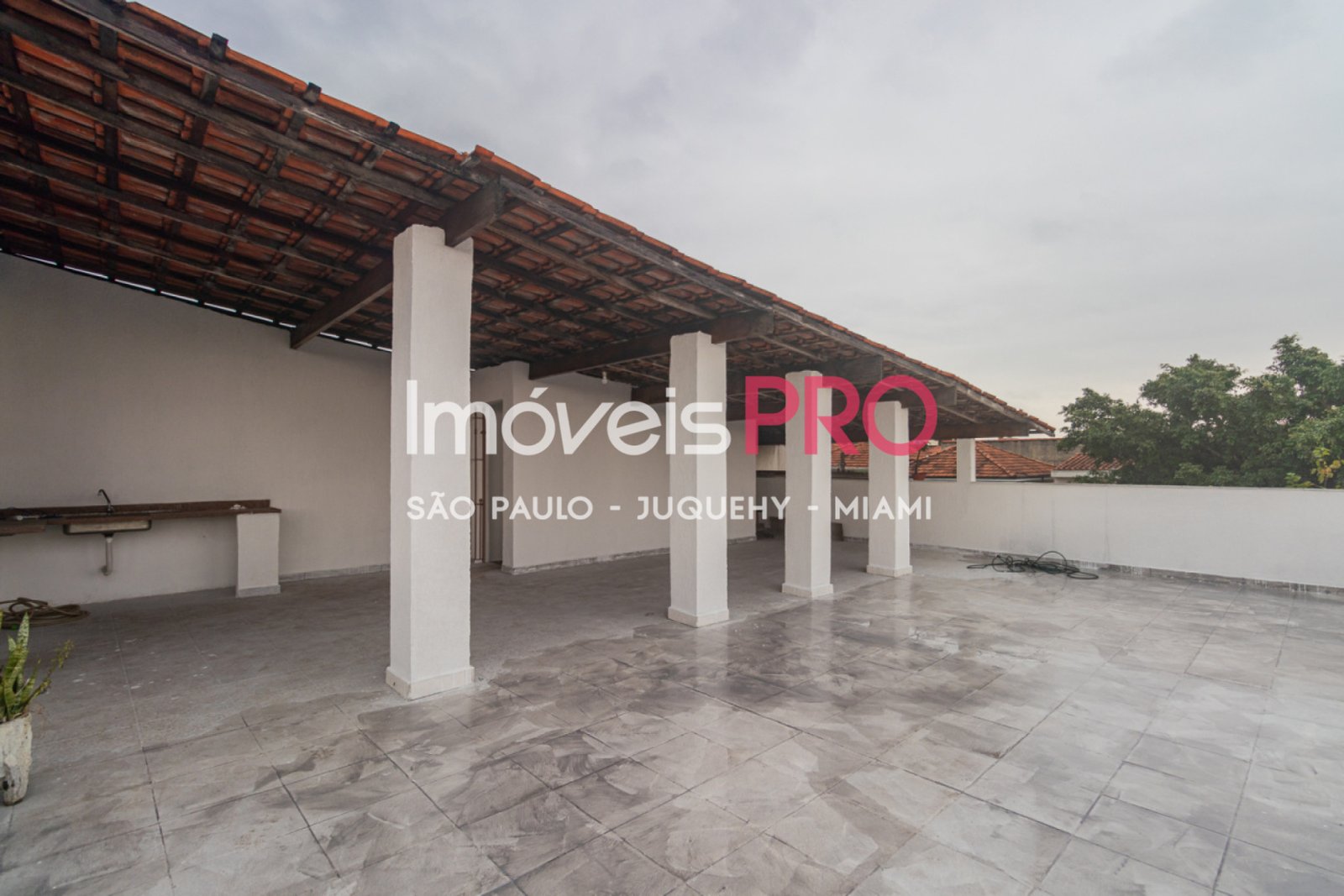 Foto :: IP13647