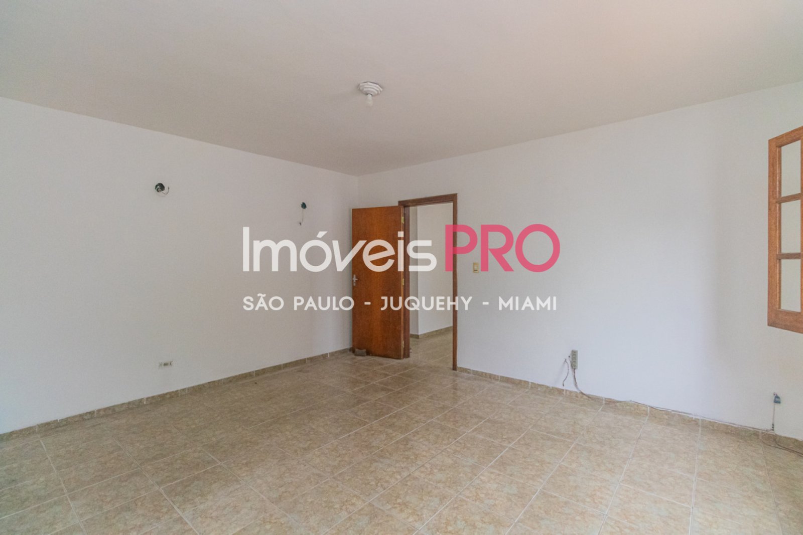 Foto :: IP13647