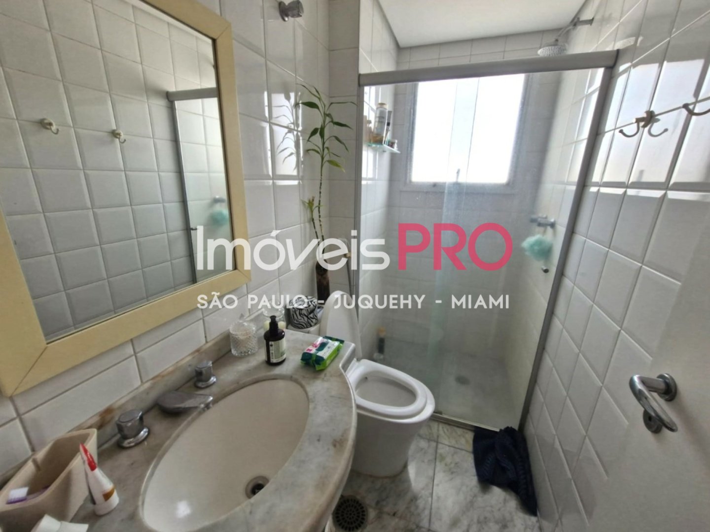 Foto :: IP14305