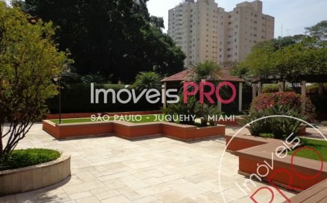Foto 3 :: IP15543