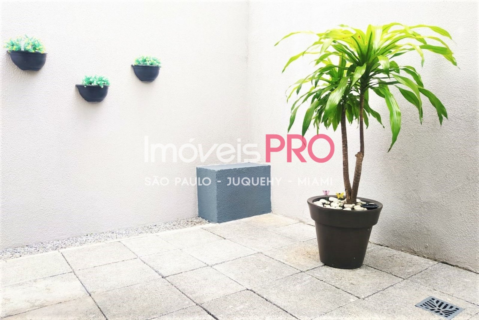 Foto :: IP15943