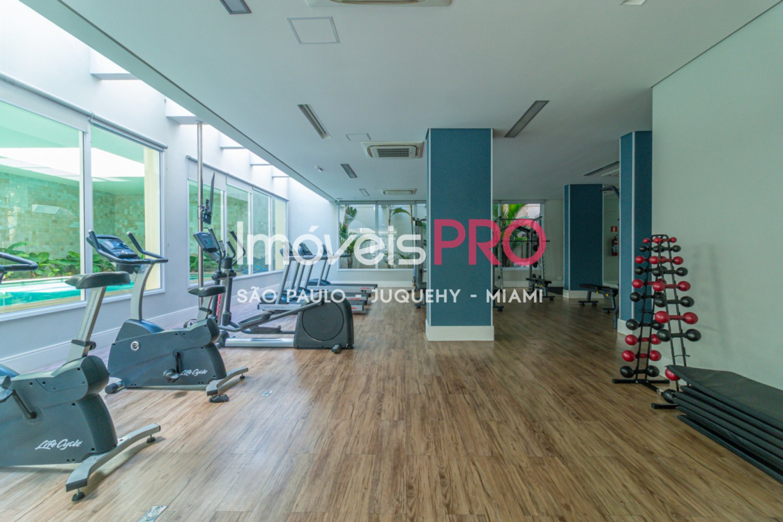 Foto :: IP16289