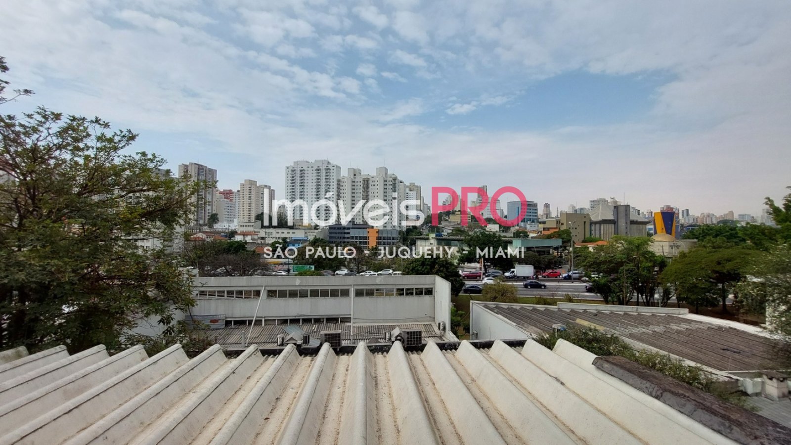 Foto :: IP16533