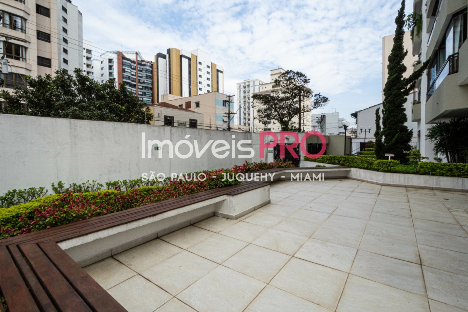 Foto :: IP17162