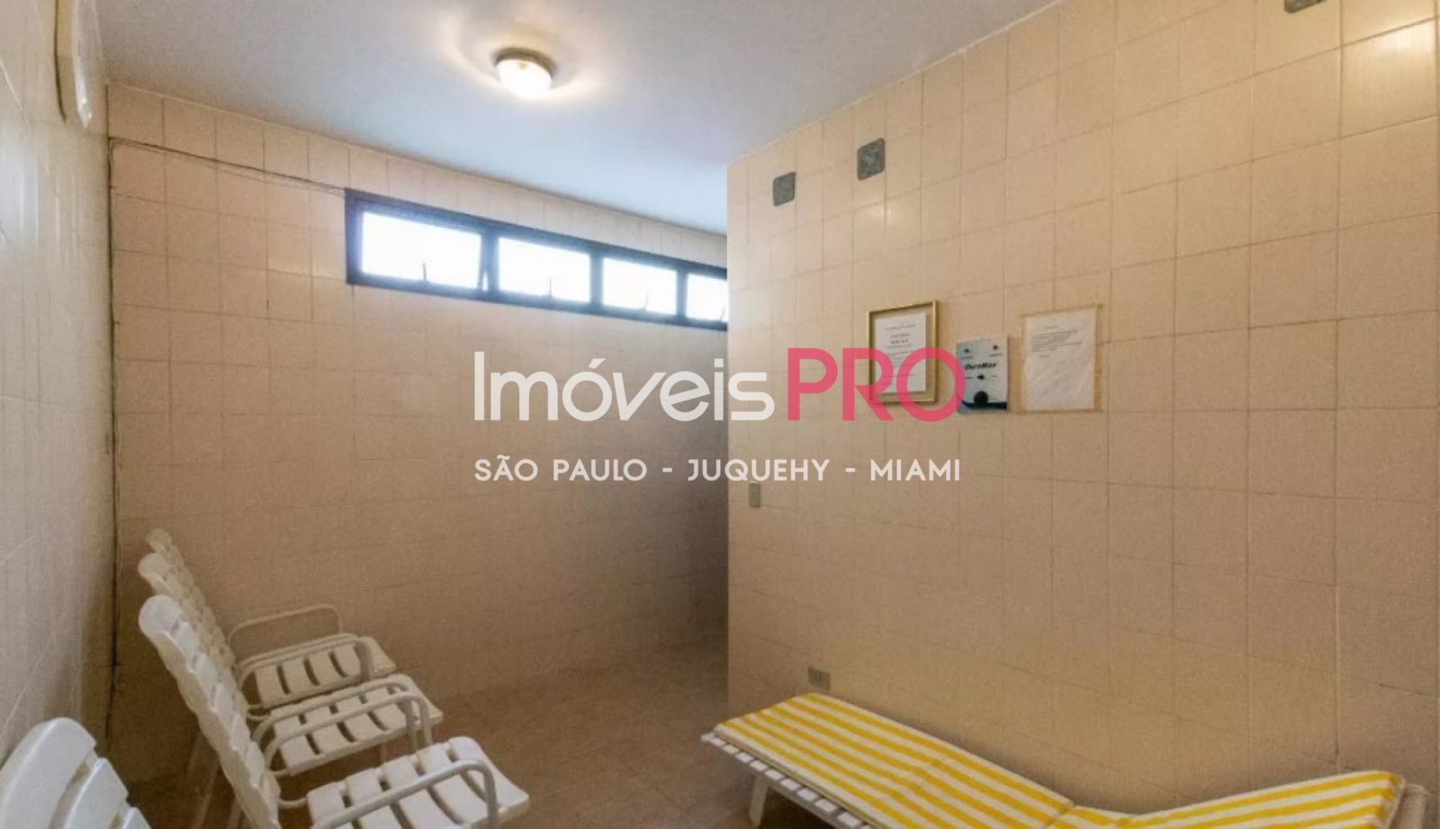 Foto :: IP17162
