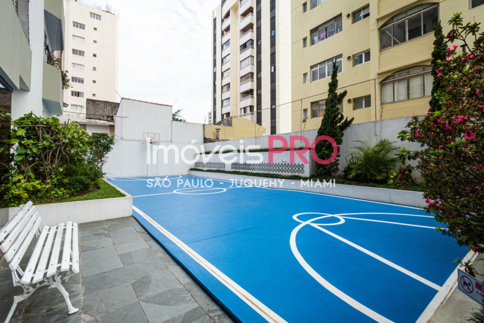 Foto :: IP17162