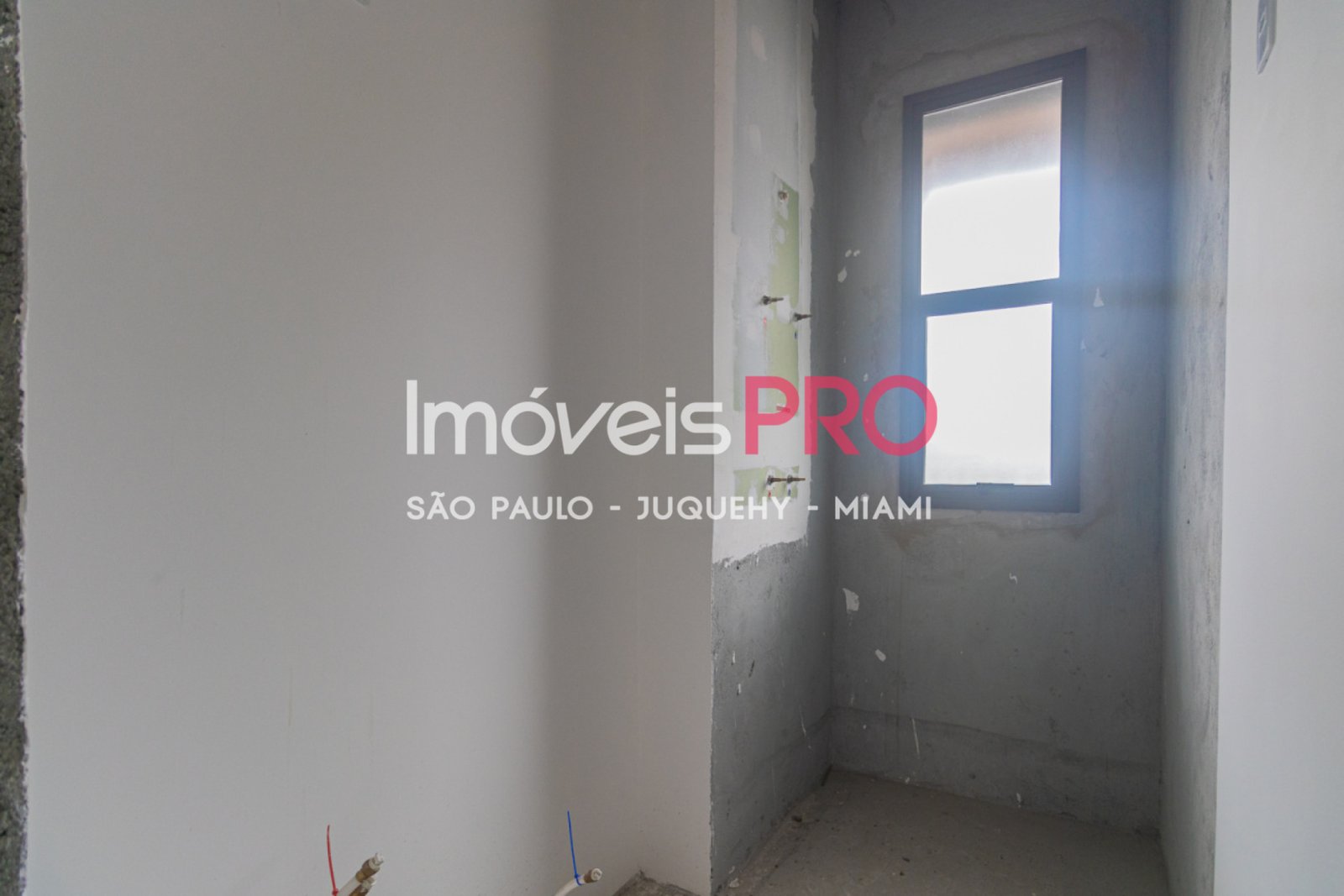 Foto :: IP17686