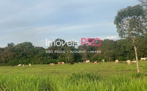 Fazenda em São Félix do Araguaia — foto 1 (Ref. IP18358)