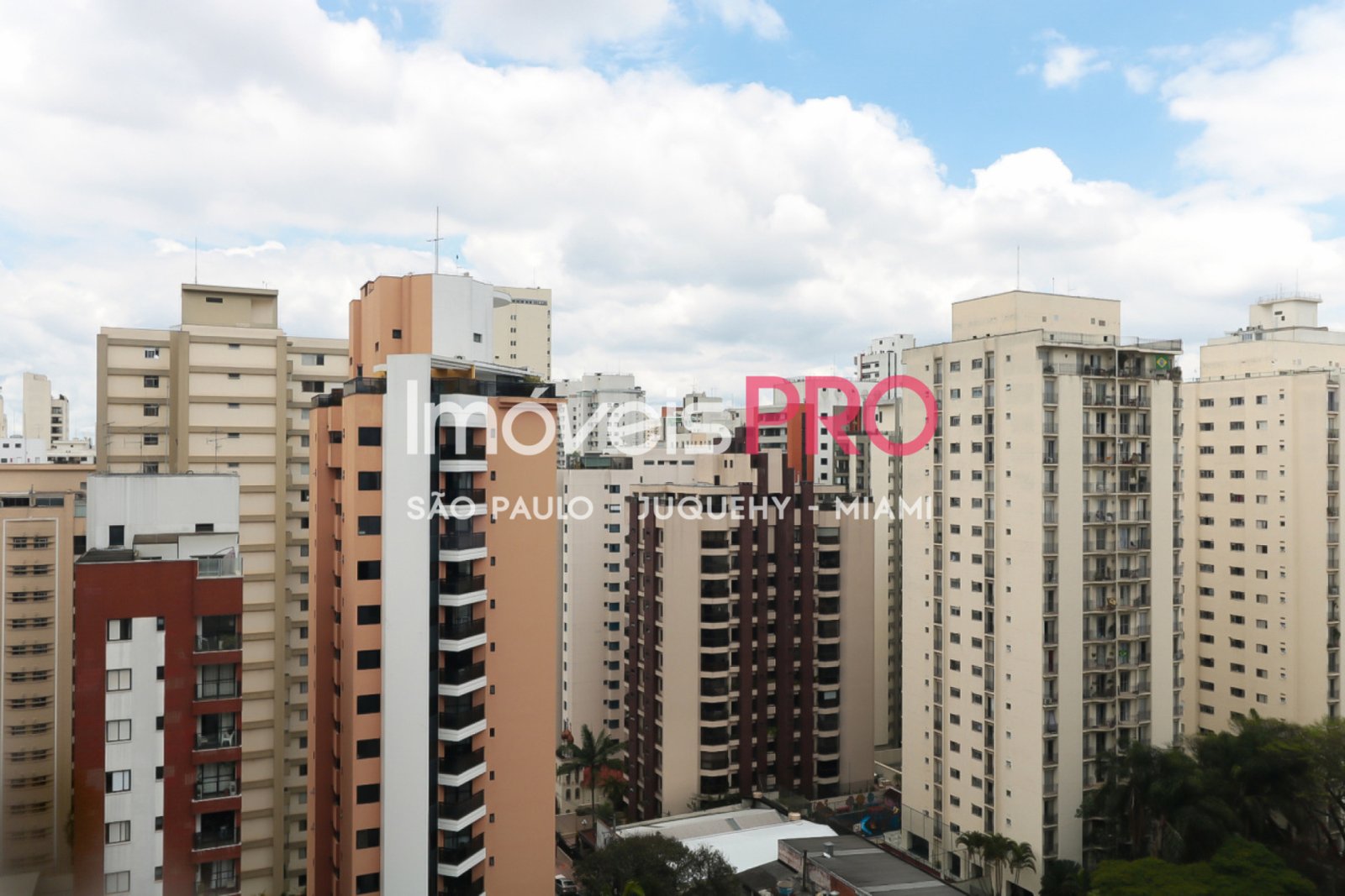 Foto :: IP18447