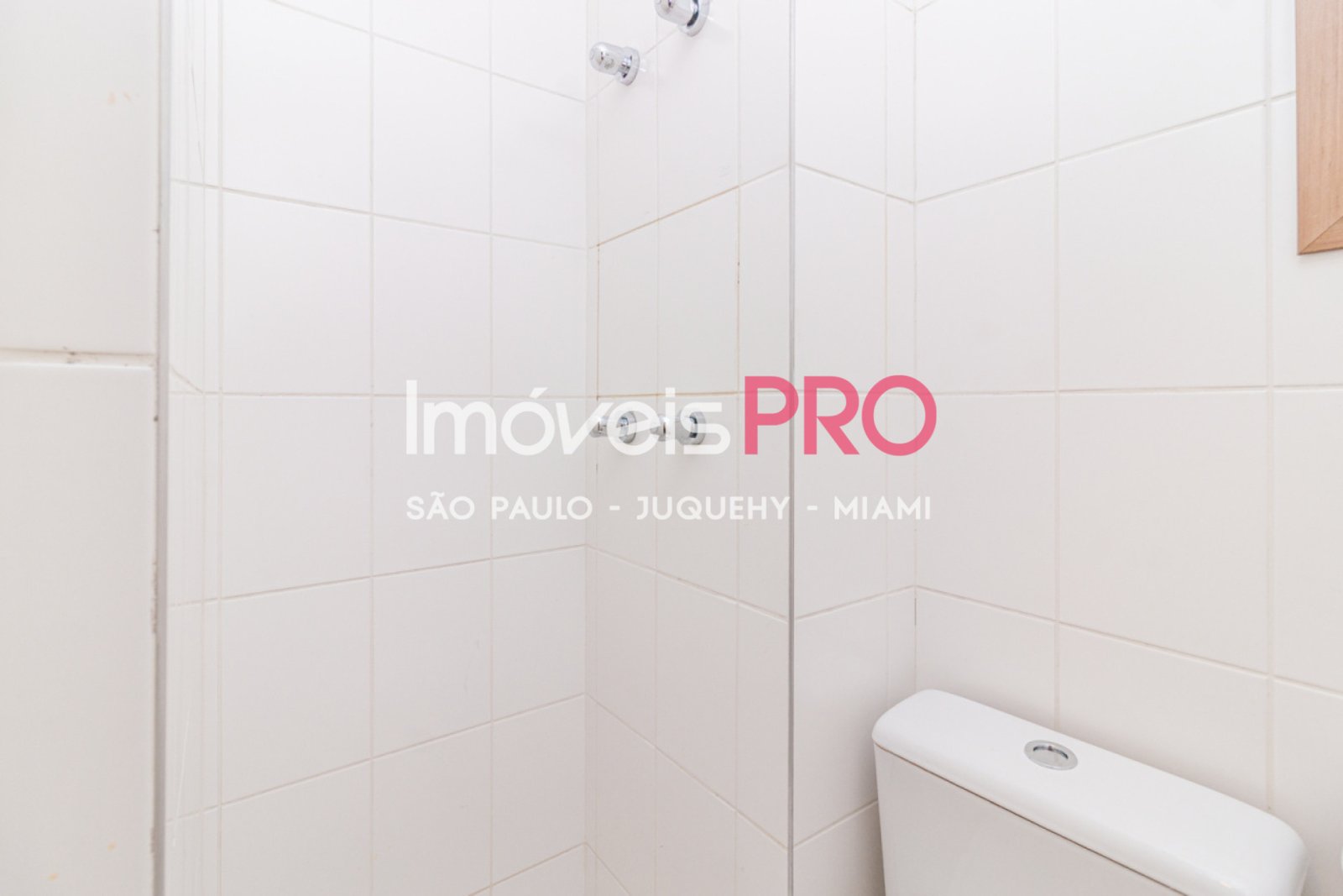 Foto :: IP18553