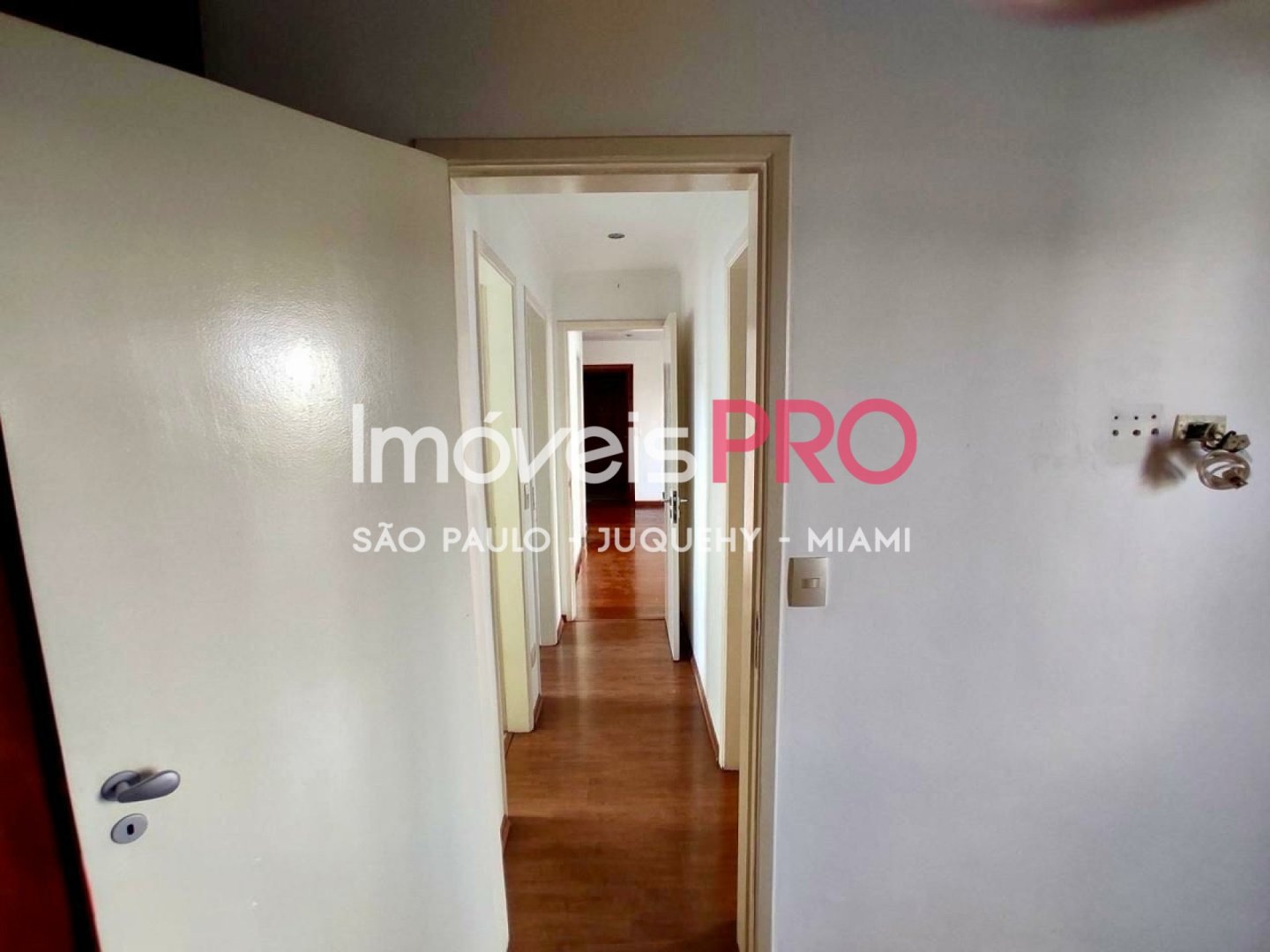 Foto :: IP18750