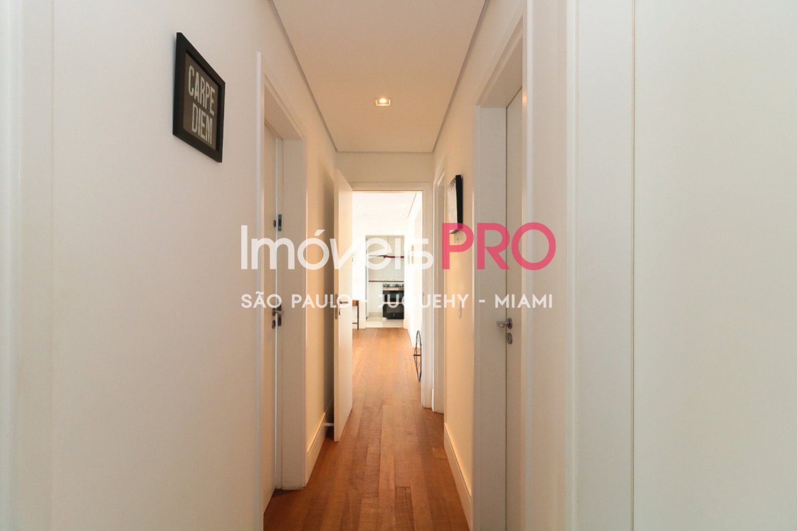 Foto :: IP19540
