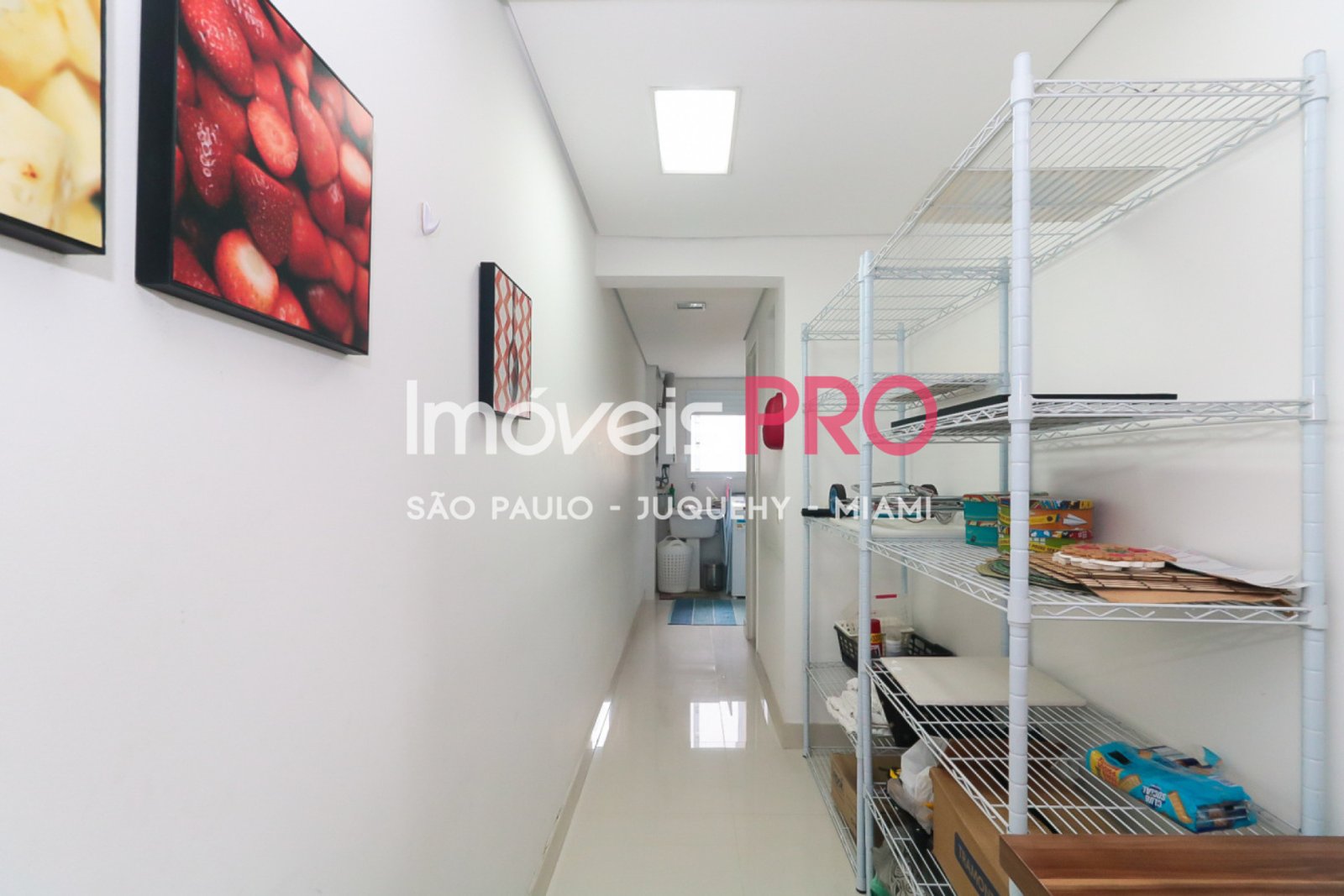 Foto :: IP19540