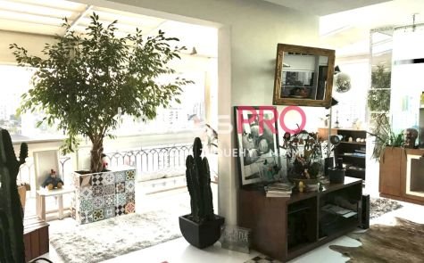 Foto 3 :: IP19925