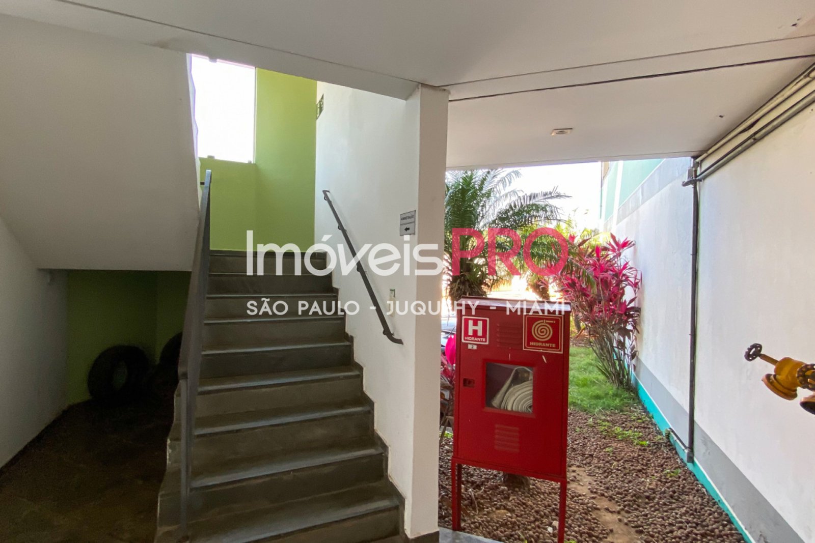 Foto :: IP19939