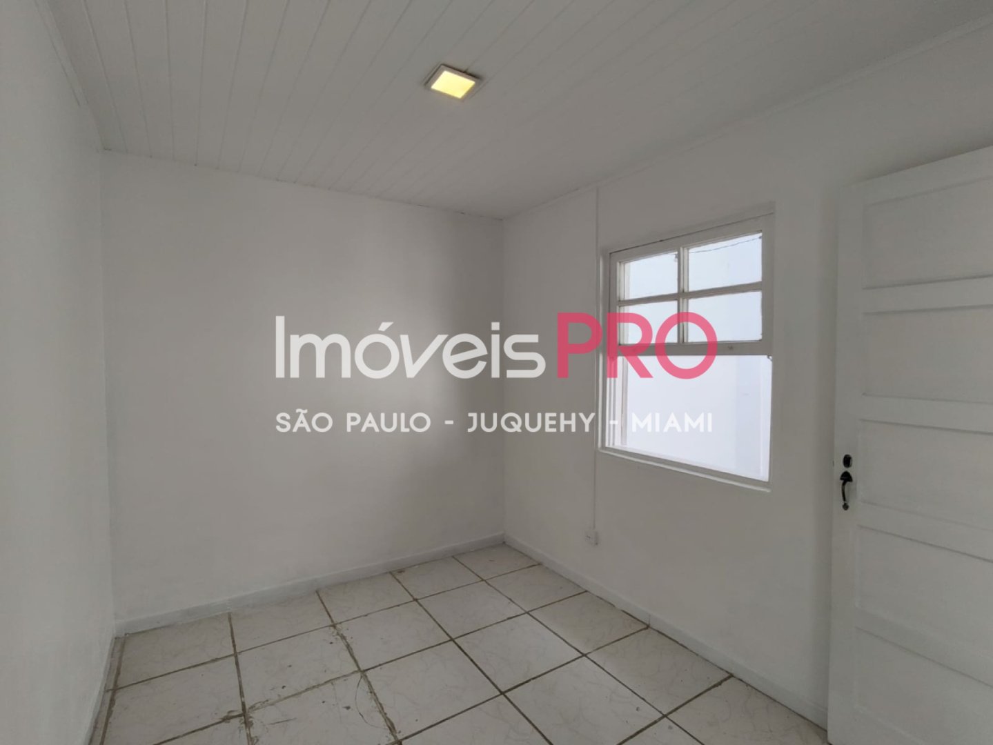 Foto :: IP20871
