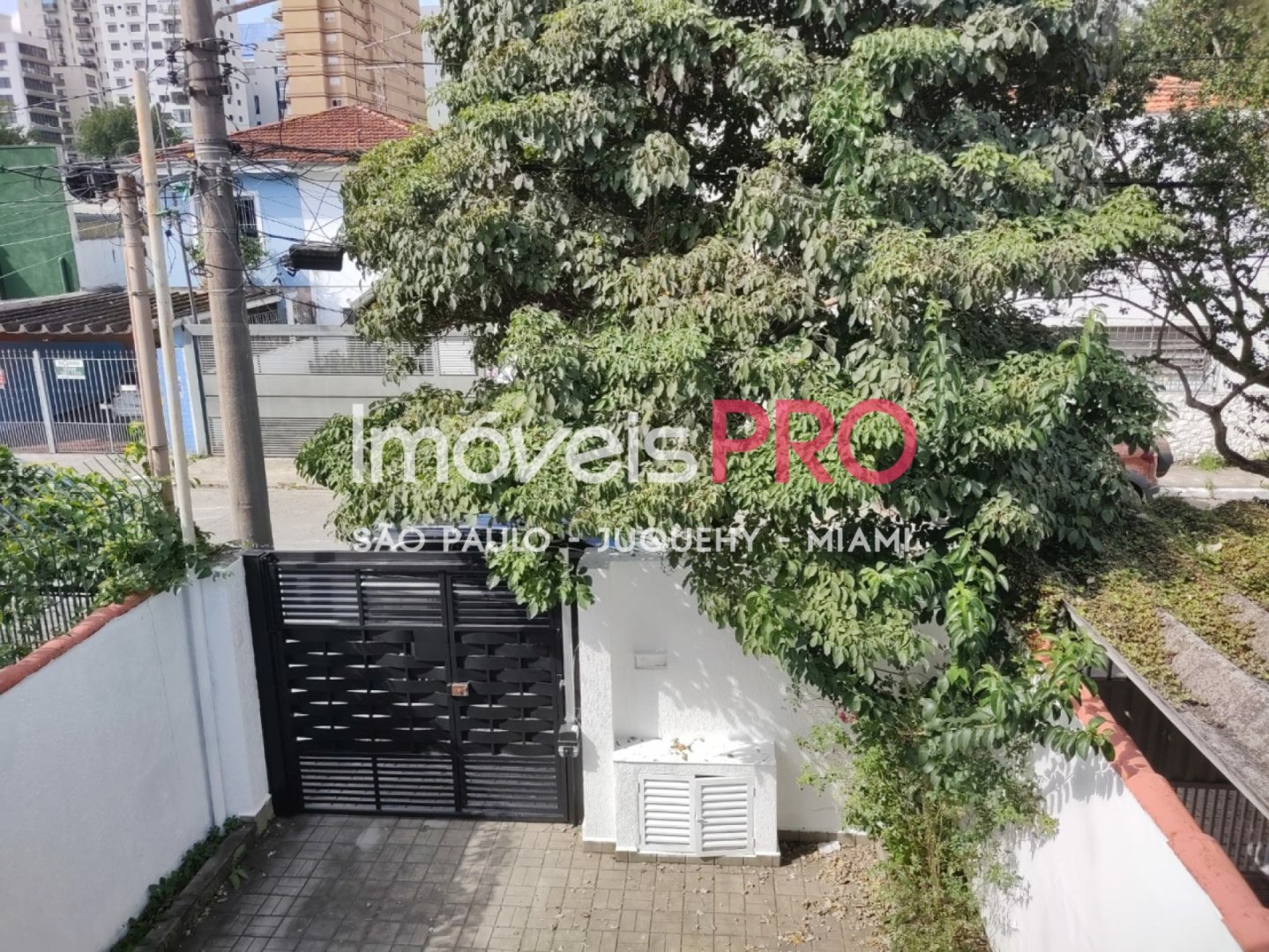 Foto :: IP20871