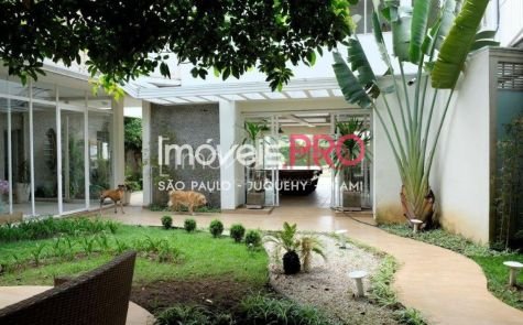 Foto 1 :: IP2134