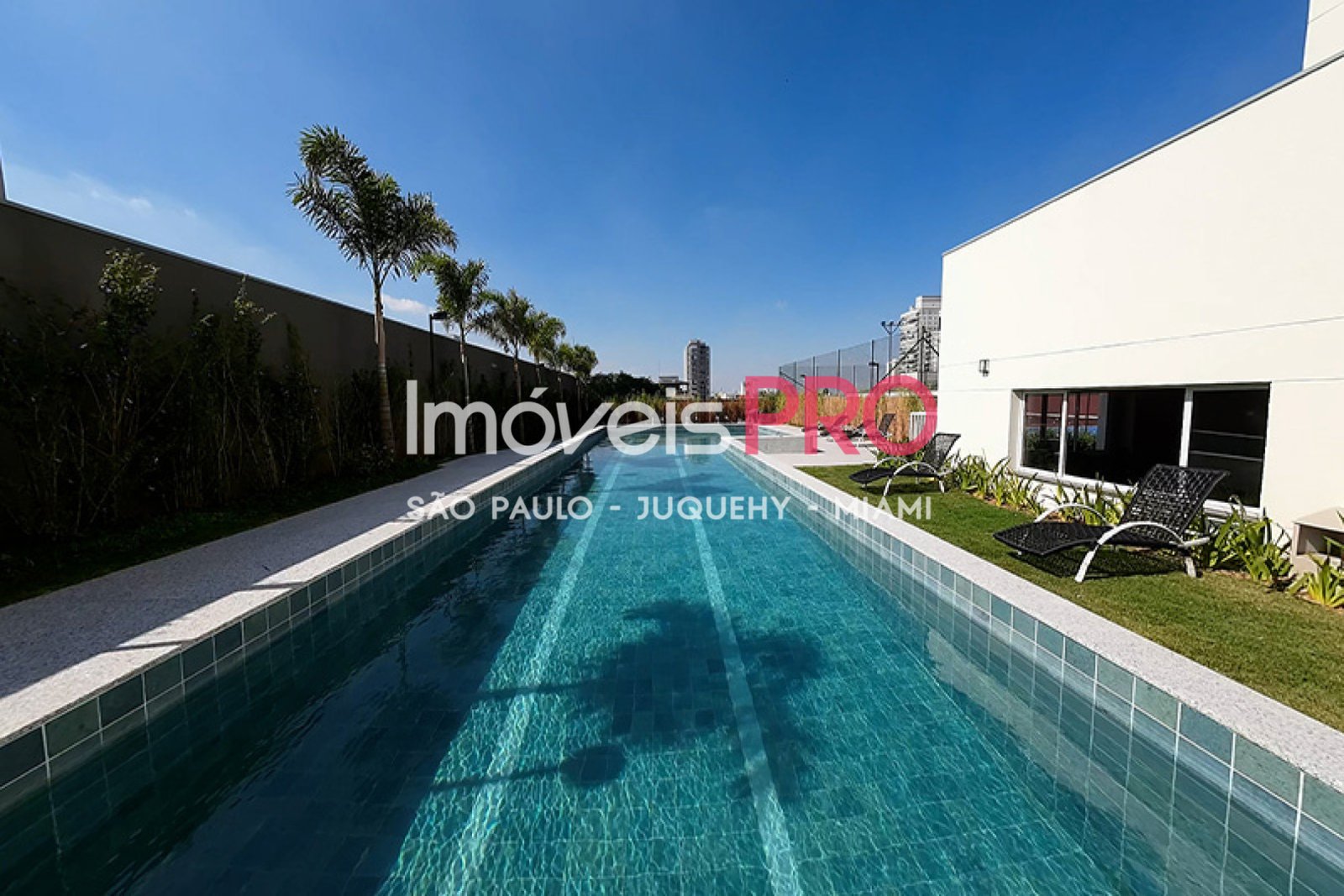 Foto :: IP21663