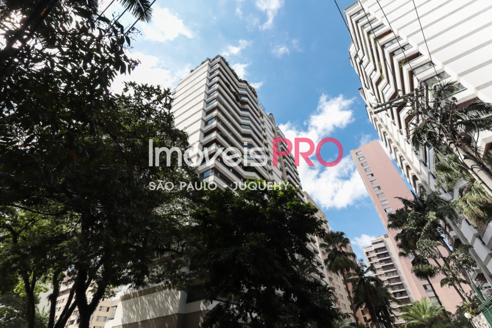 Foto :: IP23362