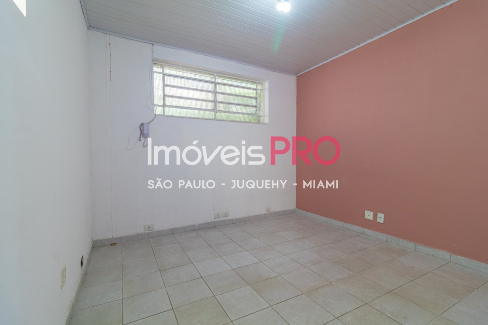 Foto :: IP23945