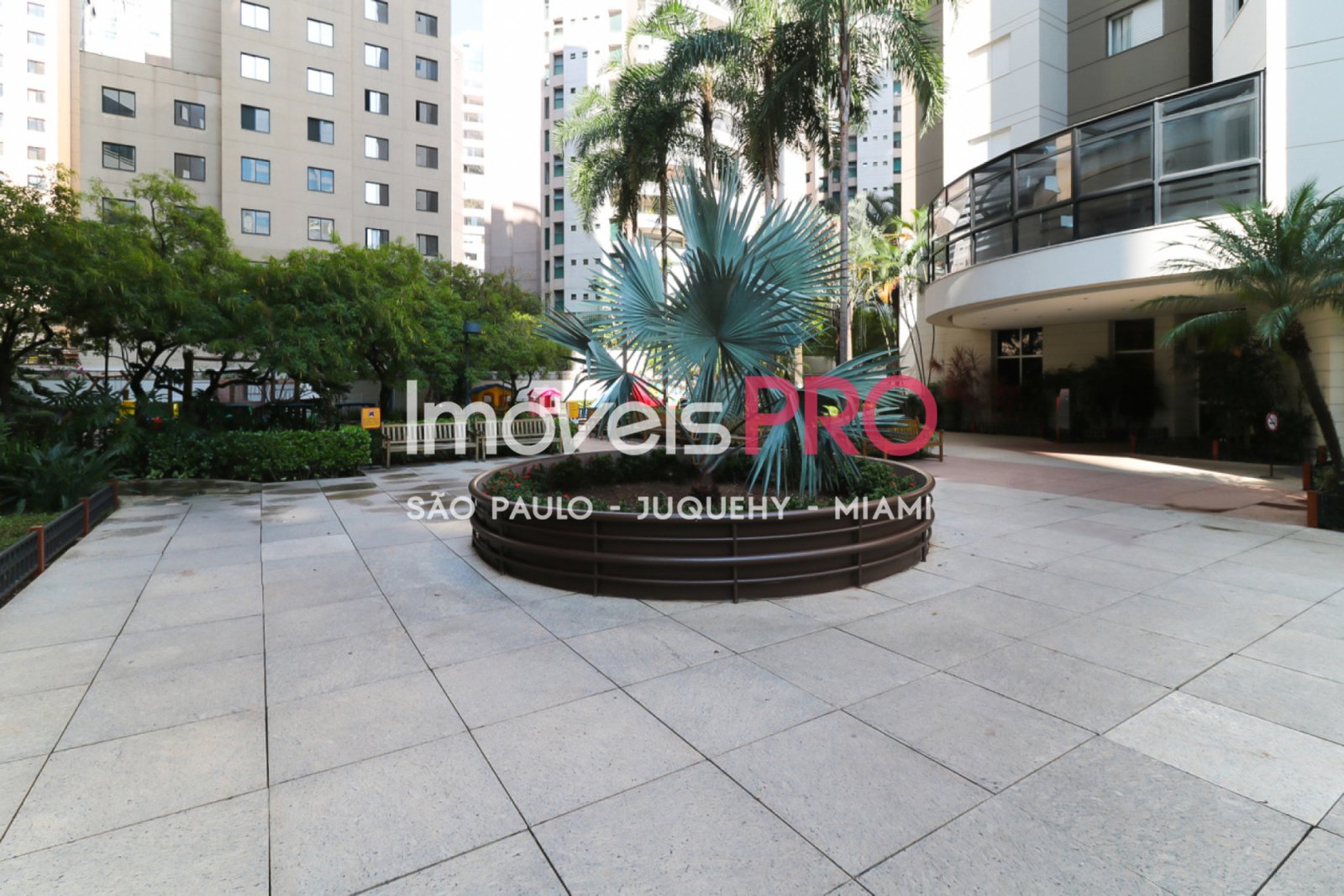 Foto :: IP24756