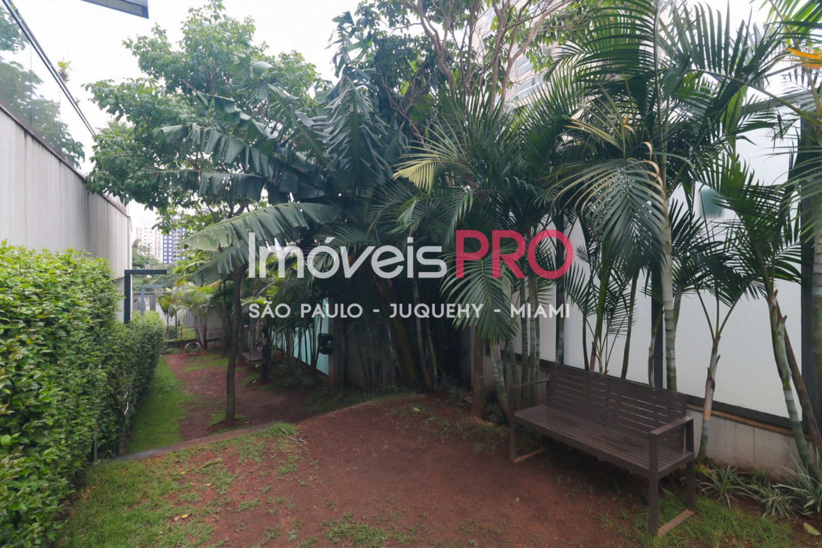 Foto :: IP24798