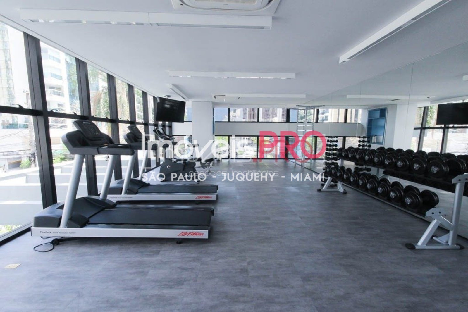 Foto :: IP2497