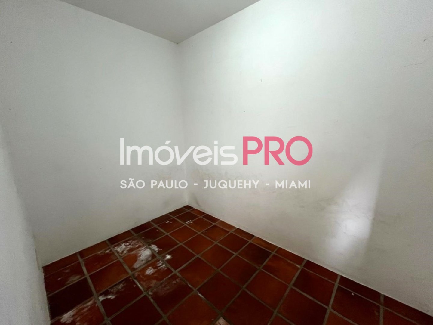Foto :: IP25497