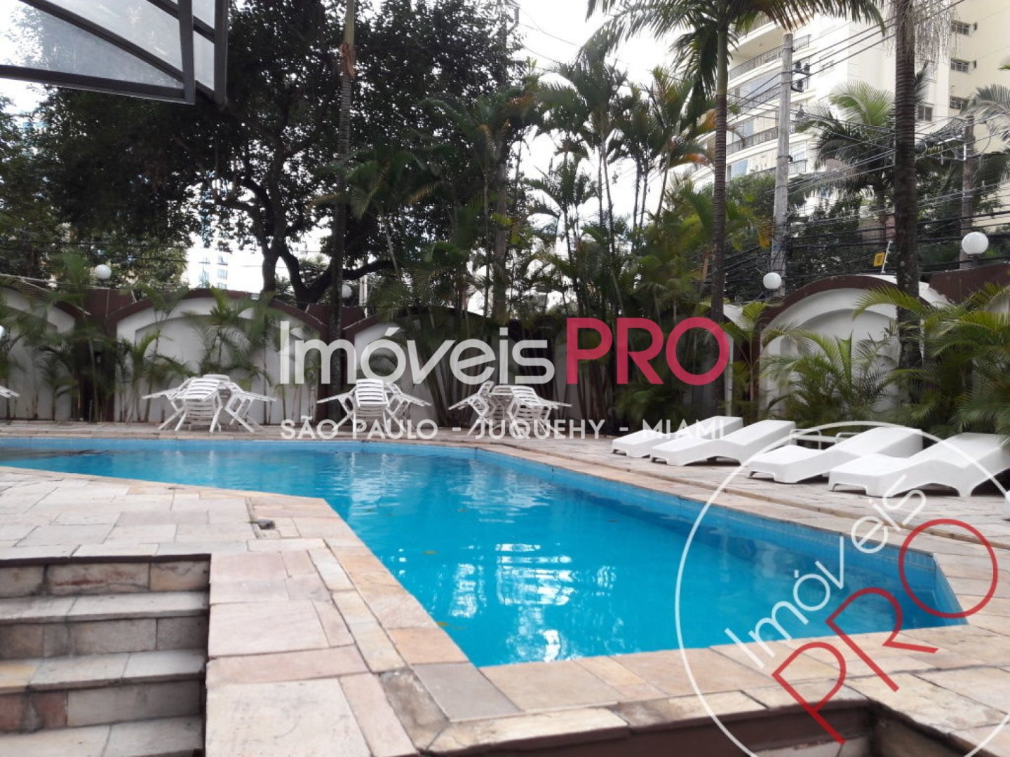 Foto :: IP25572