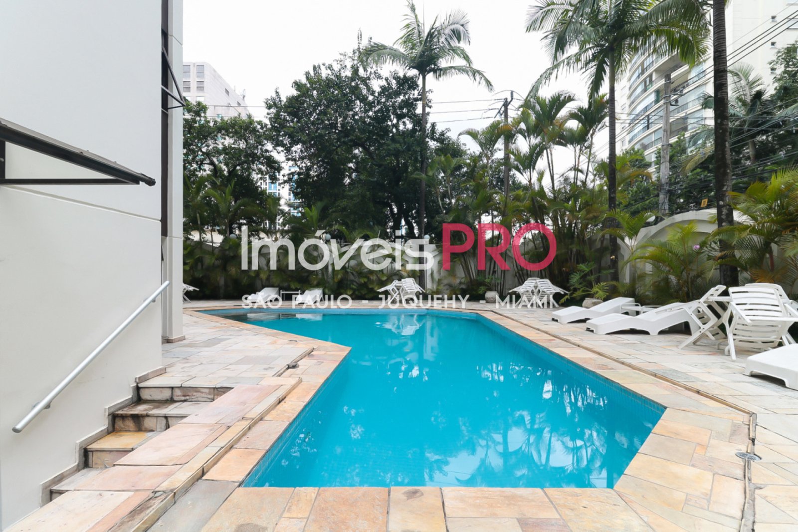 Foto :: IP25572