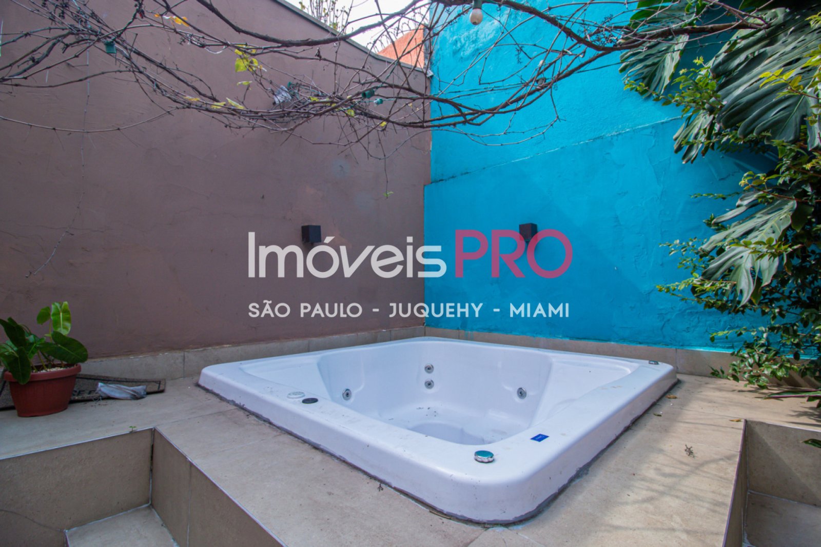 Foto :: IP26141
