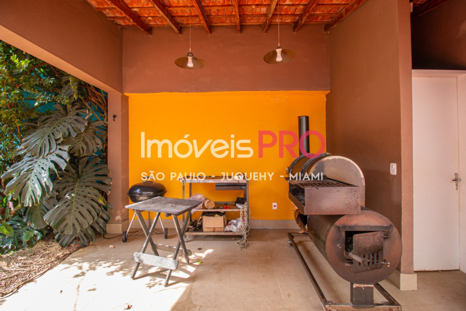 Foto :: IP26141