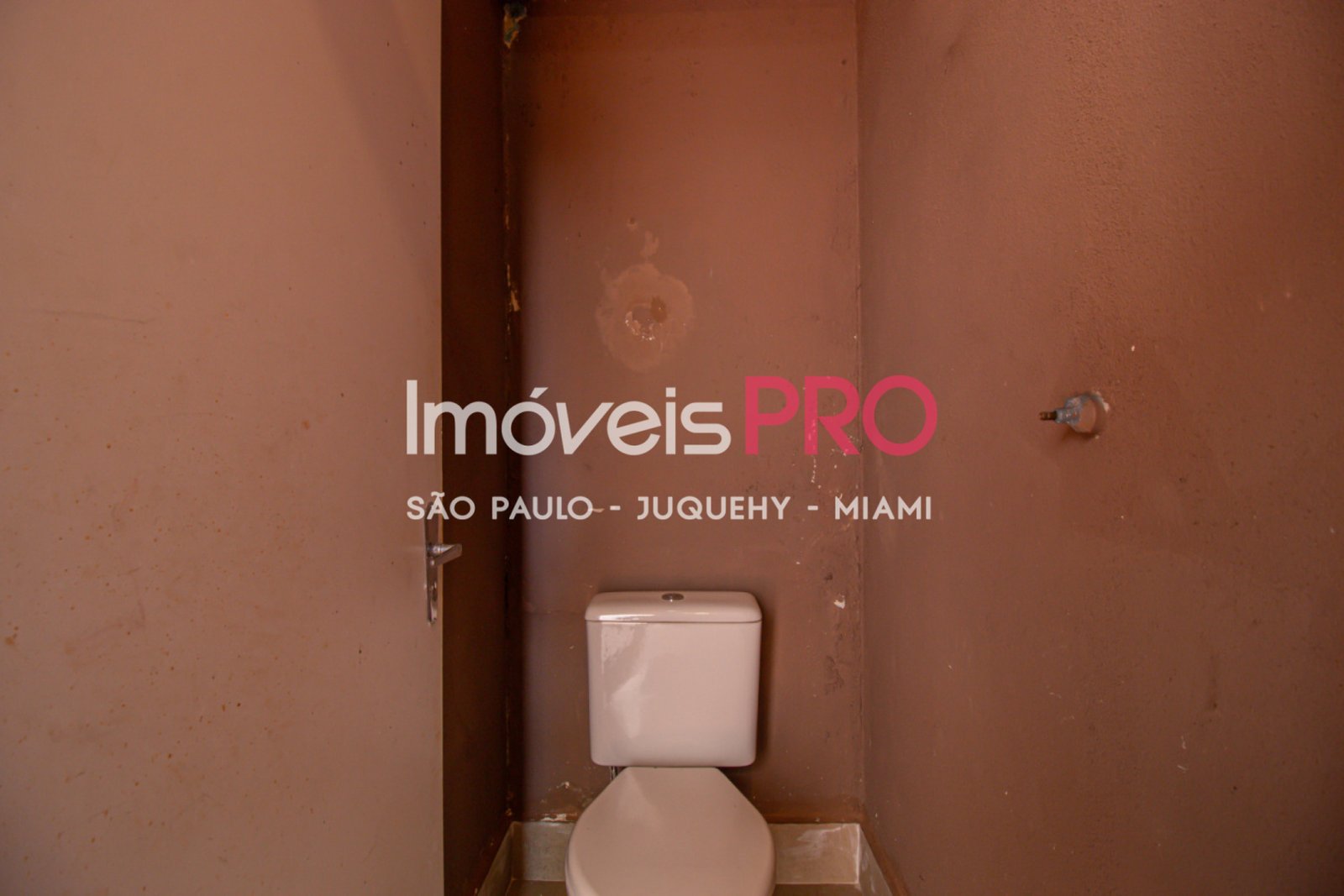 Foto :: IP26141