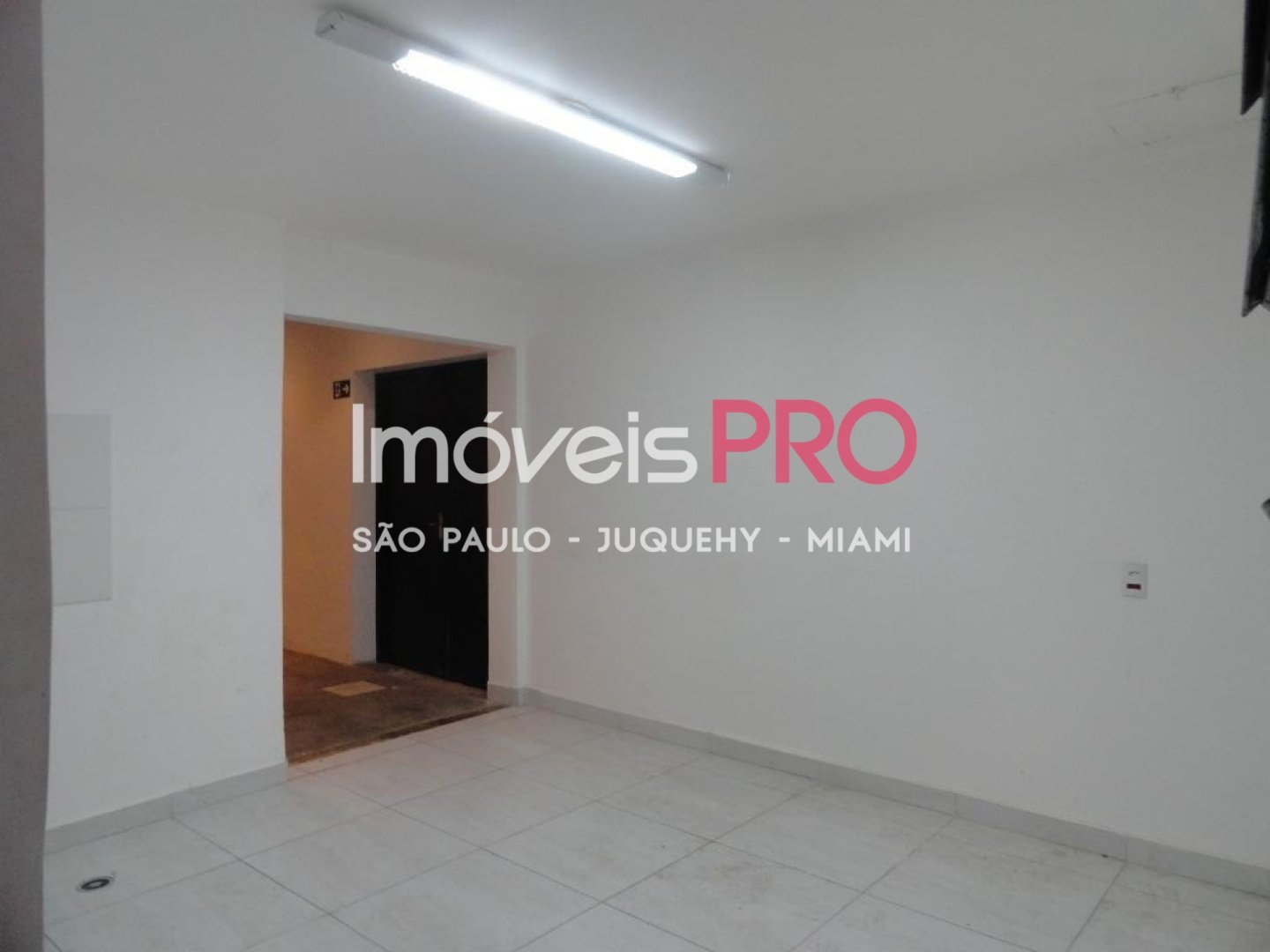 Foto :: IP26414
