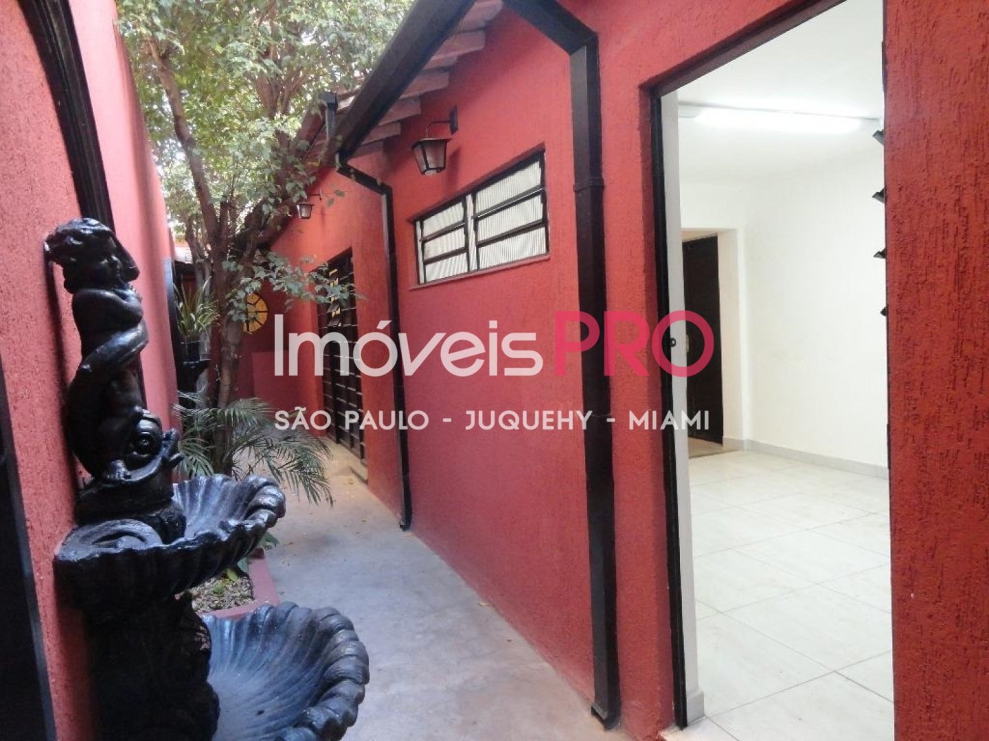 Foto :: IP26414