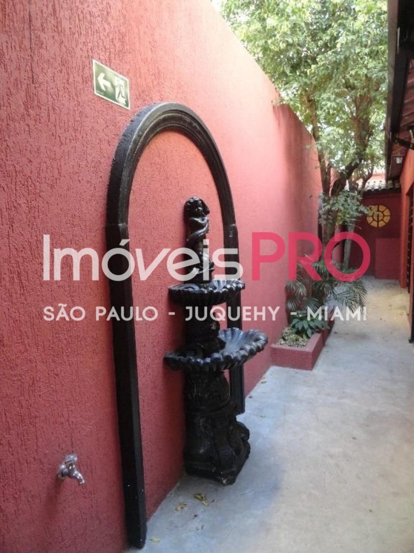 Foto :: IP26414