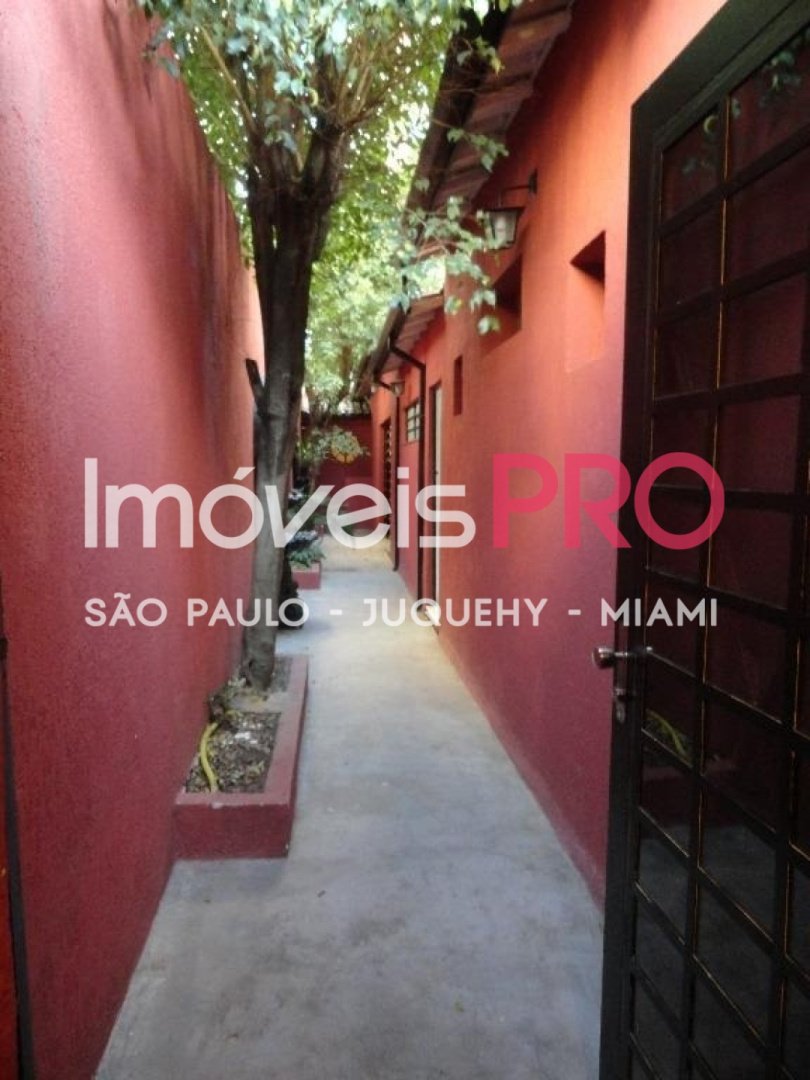 Foto :: IP26414